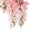 12 Pack: Pink Wisteria Bush by Ashland&#xAE;